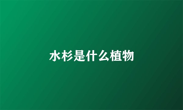 水杉是什么植物