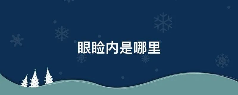 眼睑内是哪里