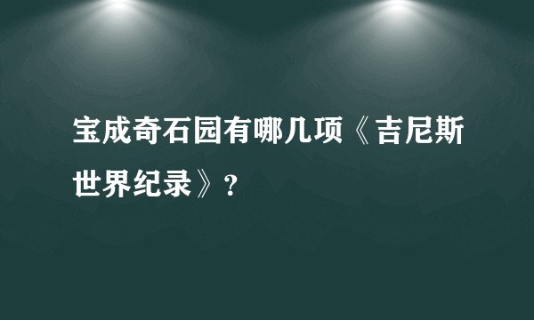 宝成奇石园有哪几项《吉尼斯世界纪录》?