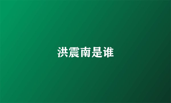 洪震南是谁