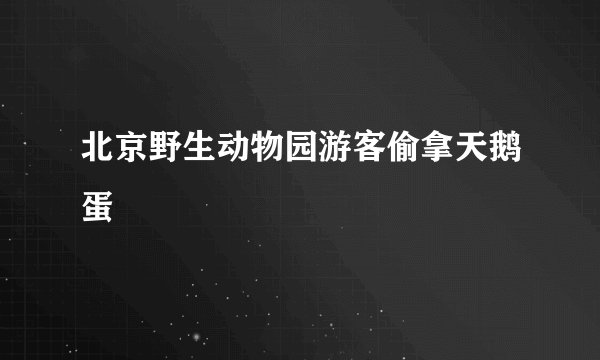 北京野生动物园游客偷拿天鹅蛋