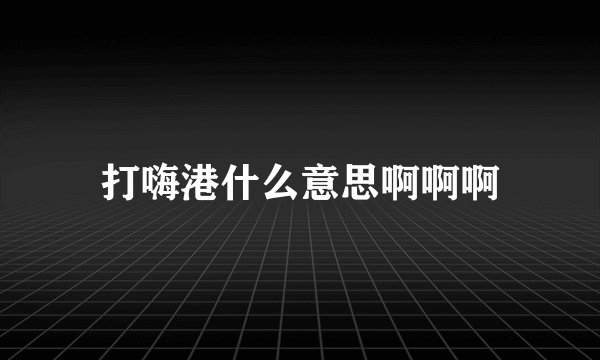 打嗨港什么意思啊啊啊