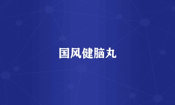 国风健脑丸