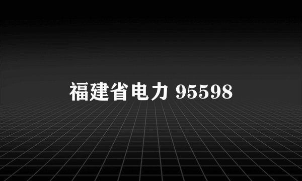 福建省电力 95598
