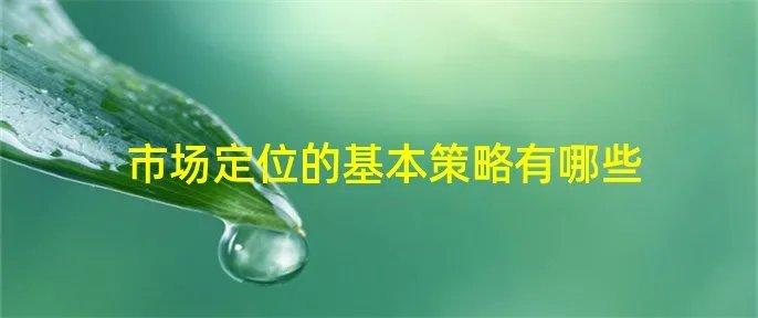 市场定位的基本策略有哪些
