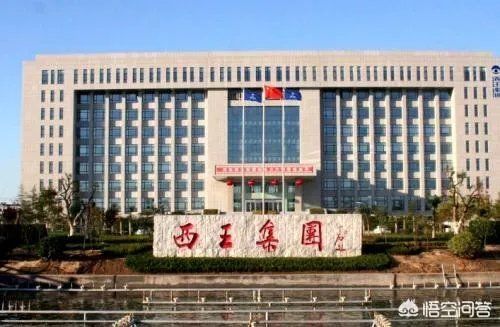 山东的西王村,到底有多富?