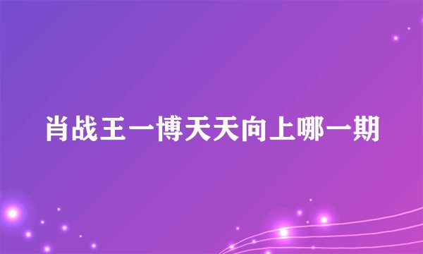 肖战王一博天天向上哪一期