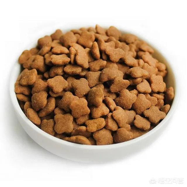 天然粮是最好的狗粮吗?