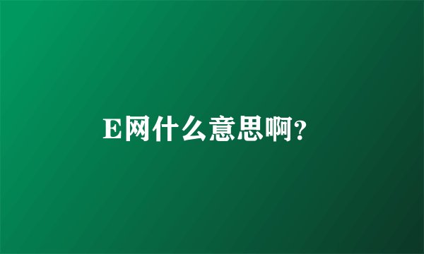 E网什么意思啊?