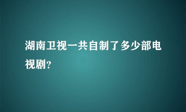 湖南卫视一共自制了多少部电视剧？