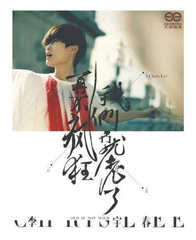 再不疯狂我们就老了的歌词