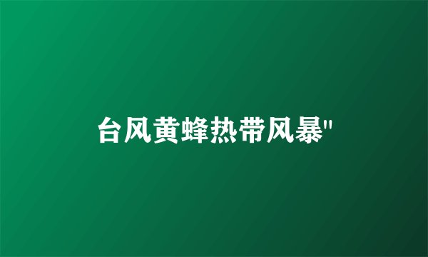 台风黄蜂热带风暴