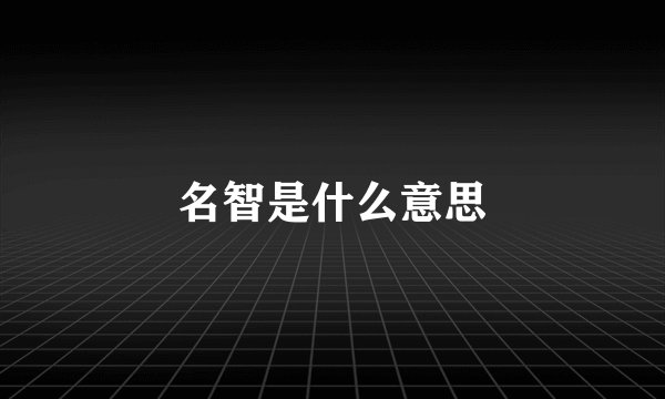 名智是什么意思