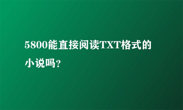 5800能直接阅读TXT格式的小说吗？