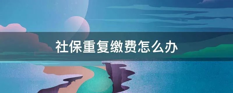 社保重复缴费怎么办