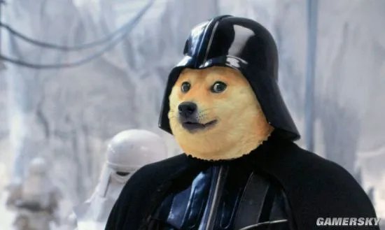 还记得那只神烦狗doge吗？它现在已经是一位“老奶奶”了