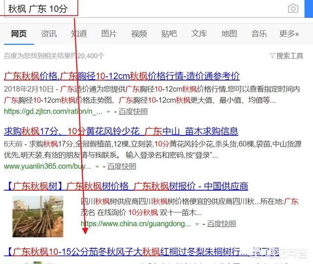 怎么在网上买到真苗木