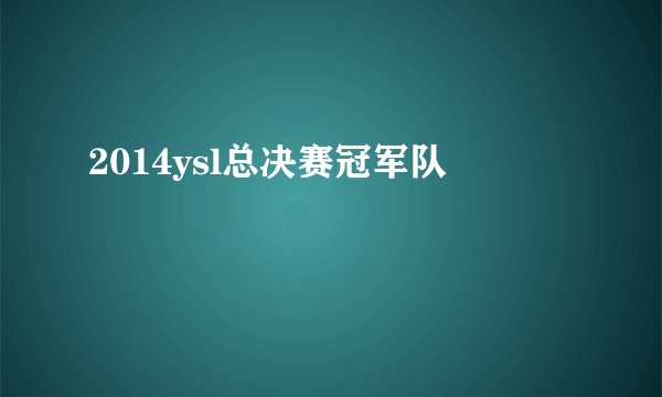 2014ysl总决赛冠军队