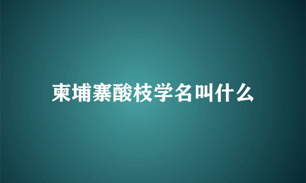 柬埔寨酸枝学名叫什么