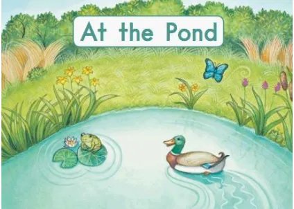 Pond是什么意思
