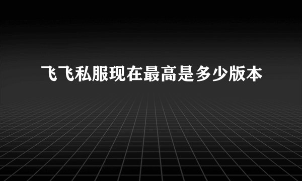 飞飞私服现在最高是多少版本