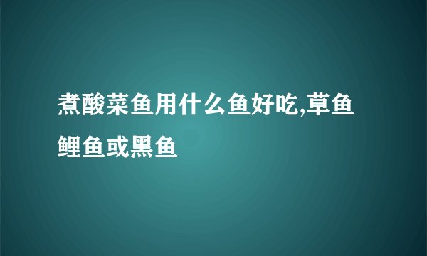 煮酸菜鱼用什么鱼好吃,草鱼鲤鱼或黑鱼