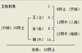 王金萌名字打分周易算命