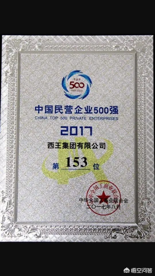 山东的西王村,到底有多富?