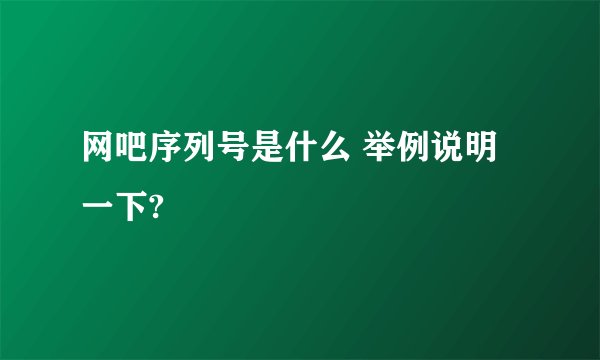 网吧序列号是什么 举例说明一下?
