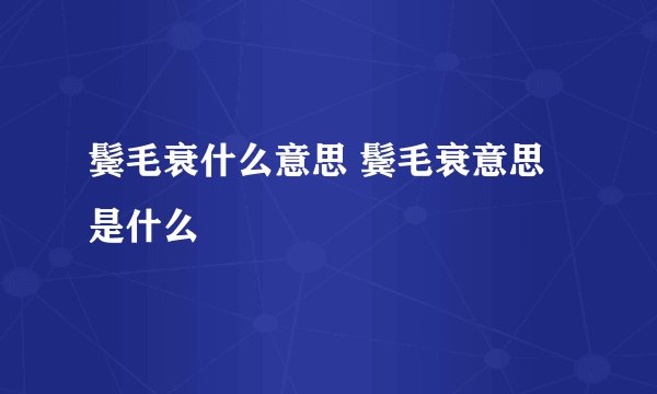 鬓毛衰什么意思 鬓毛衰意思是什么