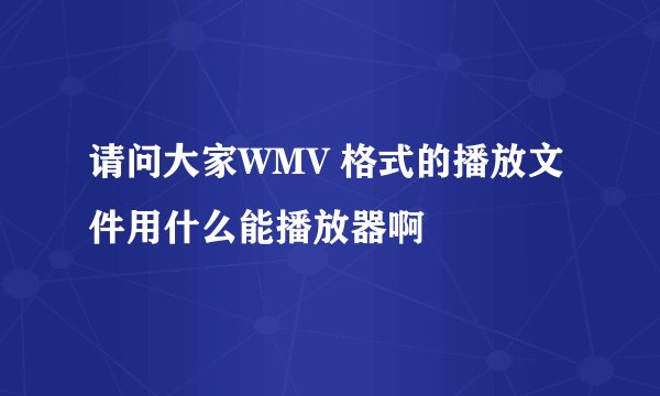 请问大家WMV 格式的播放文件用什么能播放器啊