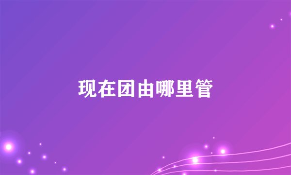 现在团由哪里管