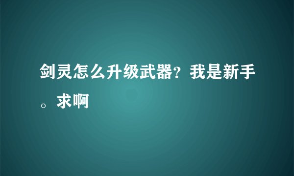 剑灵怎么升级武器？我是新手。求啊