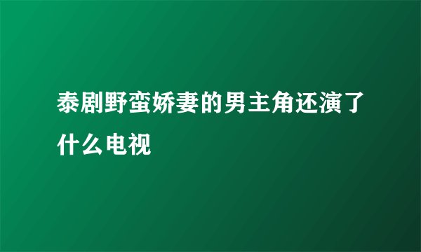 泰剧野蛮娇妻的男主角还演了什么电视