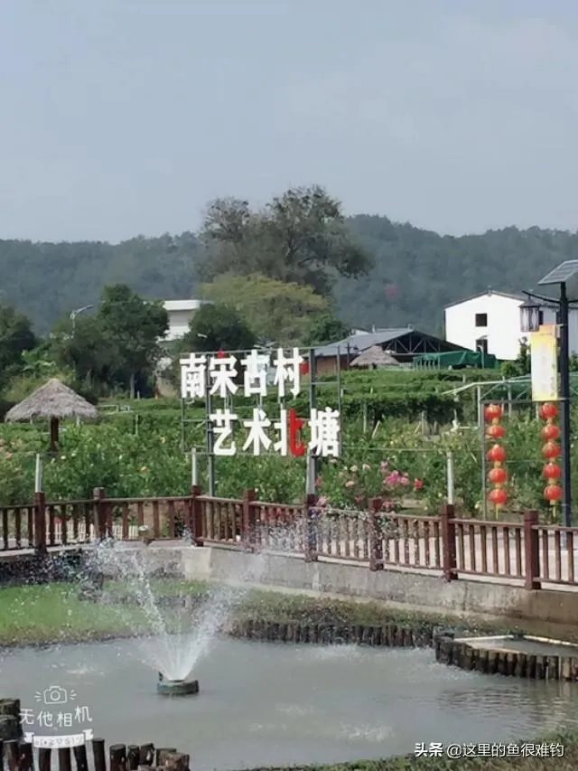 美丽的梅州县城大埔有哪些值得一看的旅游景点?