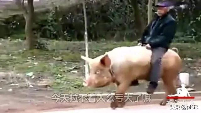 藏品在家不拿出去能私下交易吗?怎样才能把藏品卖出去?