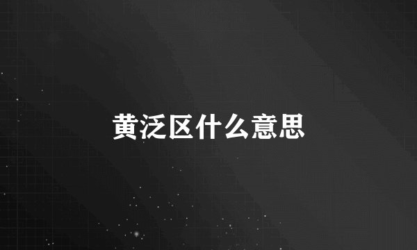 黄泛区什么意思