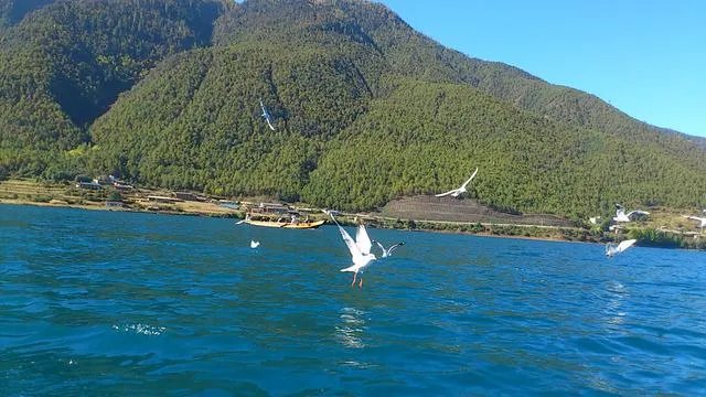 香格里拉和泸沽湖哪个更值得去?