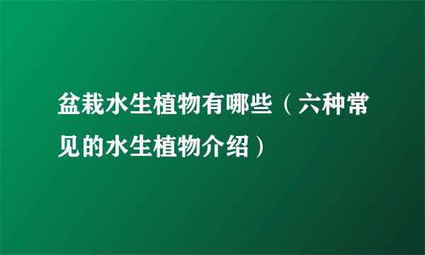 盆栽水生植物有哪些（六种常见的水生植物介绍）