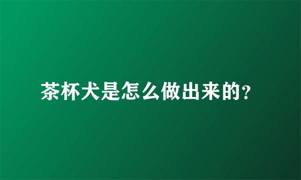 茶杯犬是怎么做出来的？