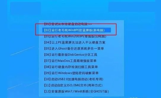 使用大番茄一键系统重装,重启后进去大番茄出现这个,怎么解决?