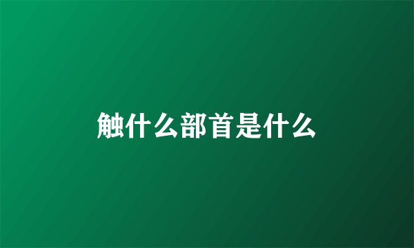 触什么部首是什么