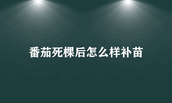 番茄死棵后怎么样补苗