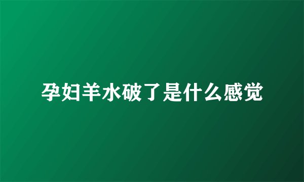 孕妇羊水破了是什么感觉