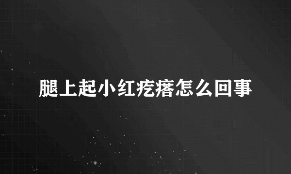 腿上起小红疙瘩怎么回事