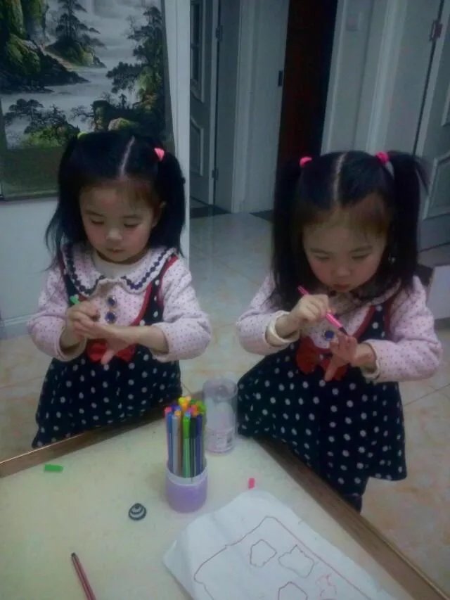 你见过的最漂亮的双胞胎是哪对？