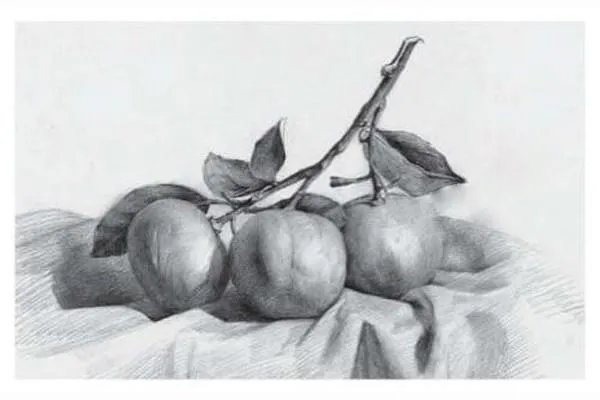 素描静物作画步骤图,有图的,有步骤的