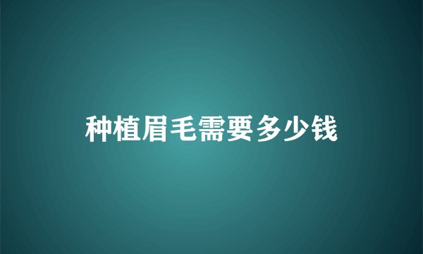 种植眉毛需要多少钱