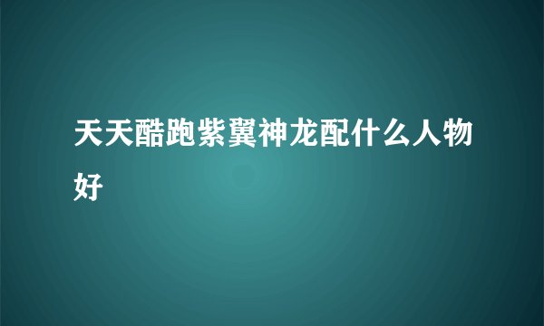 天天酷跑紫翼神龙配什么人物好