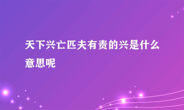 天下兴亡匹夫有责的兴是什么意思呢